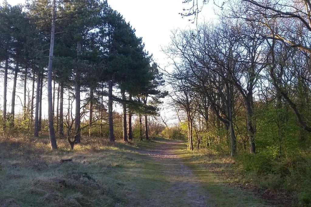 Cottage Egmond-Binnen Met Besloten Tuin Kültér fotó