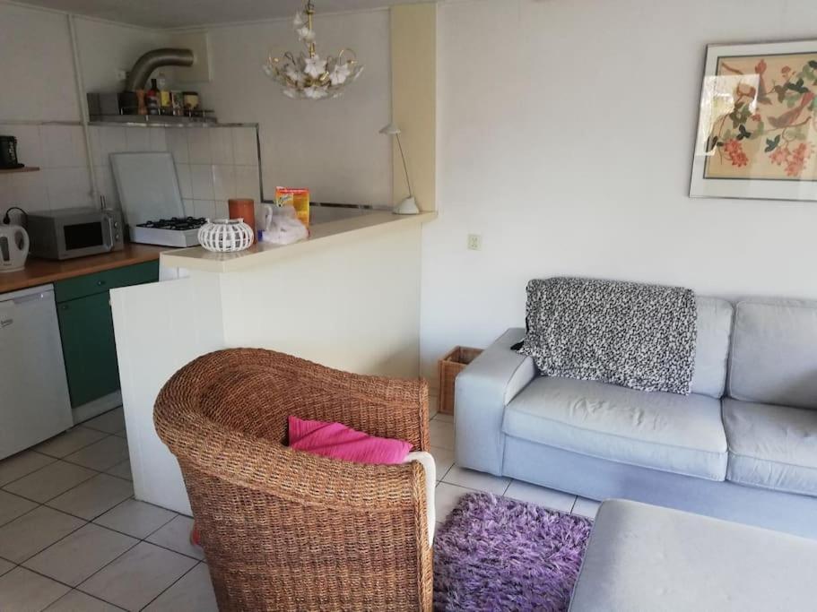 Cottage Egmond-Binnen Met Besloten Tuin Kültér fotó