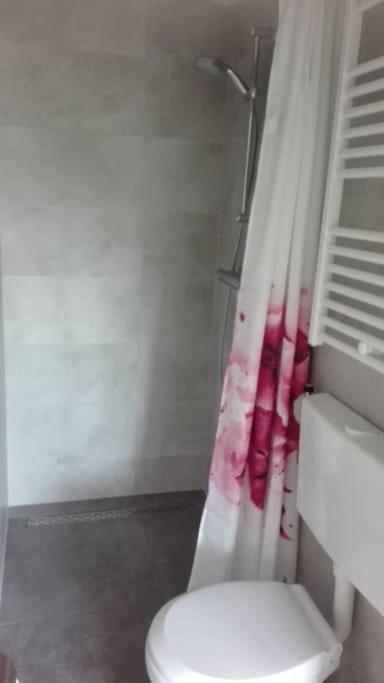 Cottage Egmond-Binnen Met Besloten Tuin Kültér fotó