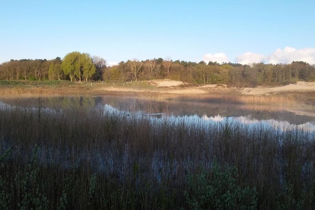 Cottage Egmond-Binnen Met Besloten Tuin Kültér fotó