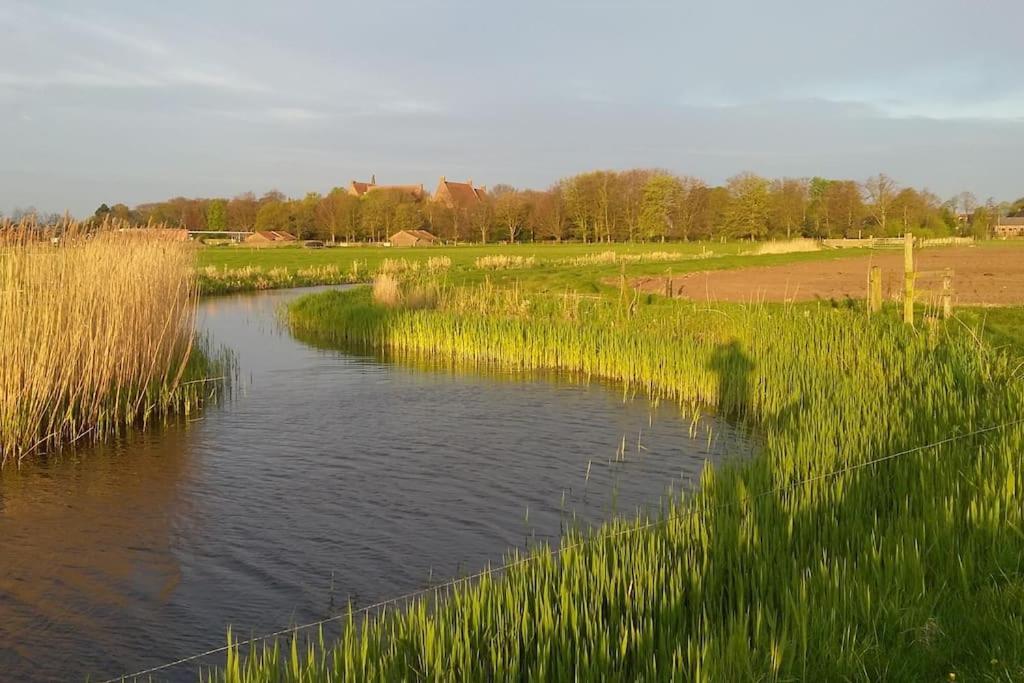 Cottage Egmond-Binnen Met Besloten Tuin Kültér fotó