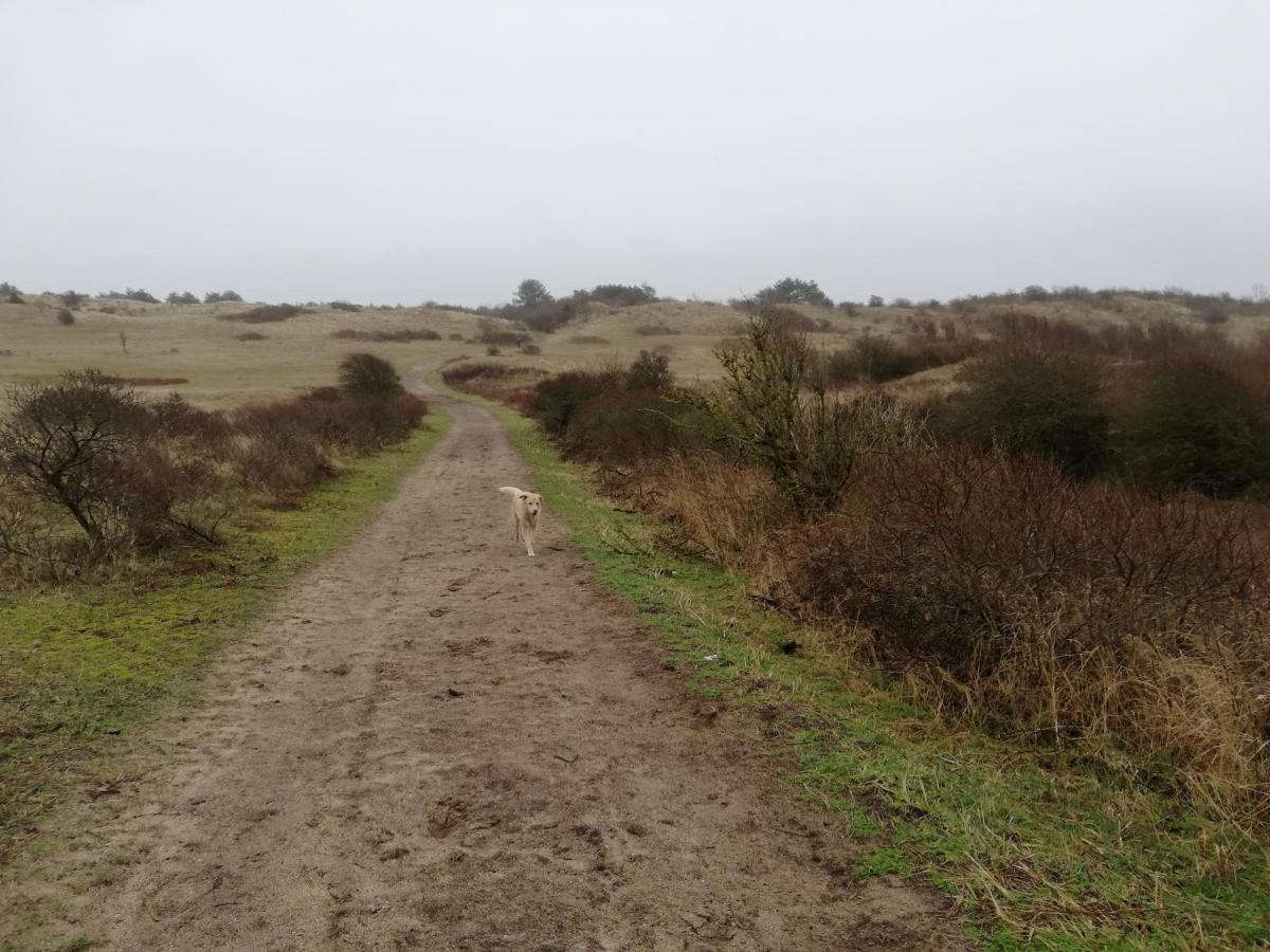 Cottage Egmond-Binnen Met Besloten Tuin Kültér fotó