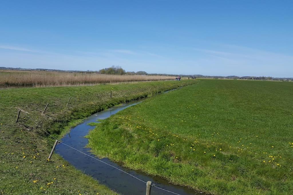 Cottage Egmond-Binnen Met Besloten Tuin Kültér fotó