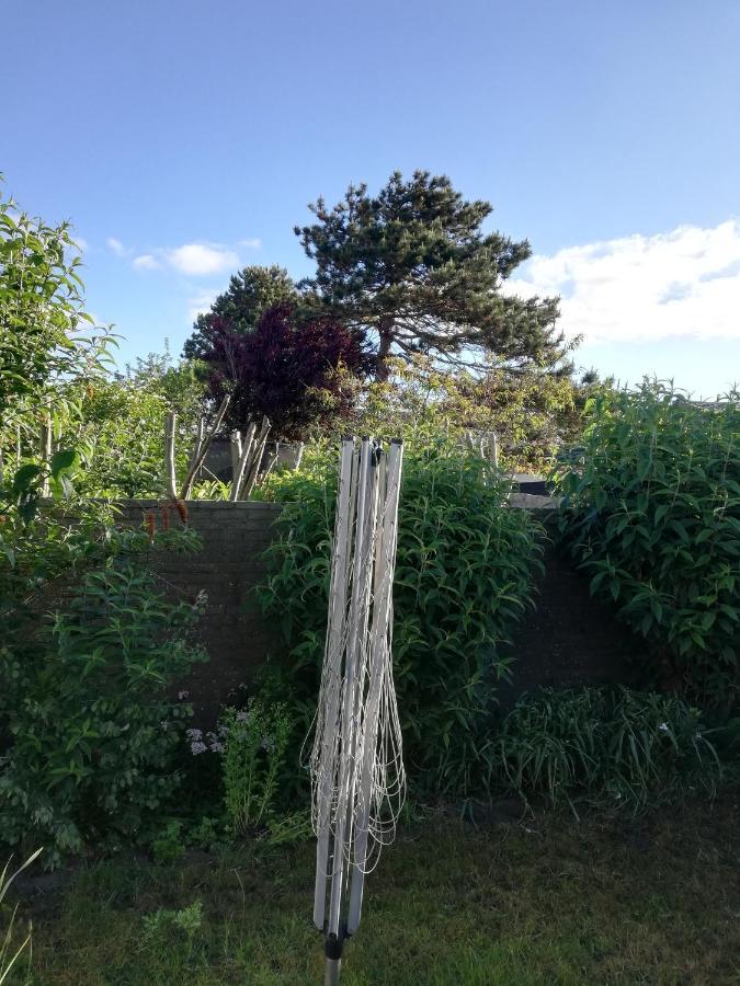 Cottage Egmond-Binnen Met Besloten Tuin Kültér fotó